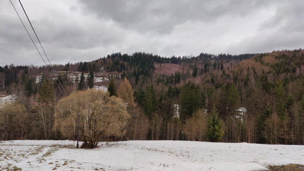 Głębce Wisła, Kręta (1)