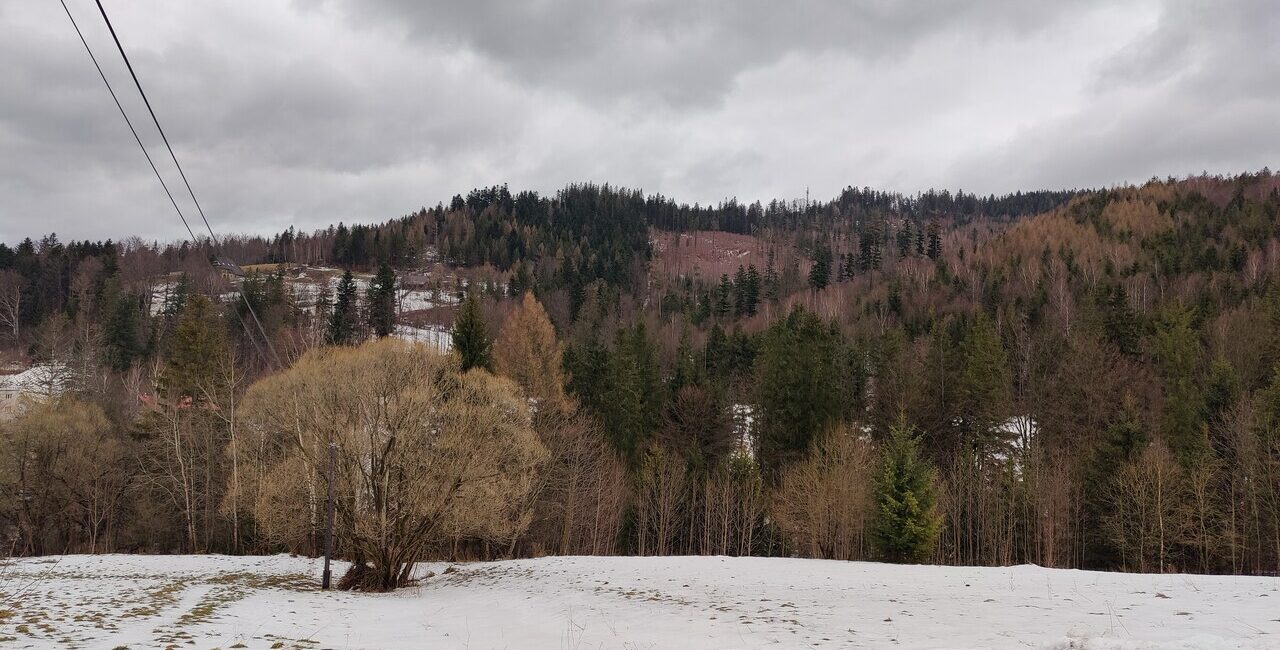 Głębce Wisła, Kręta (1)