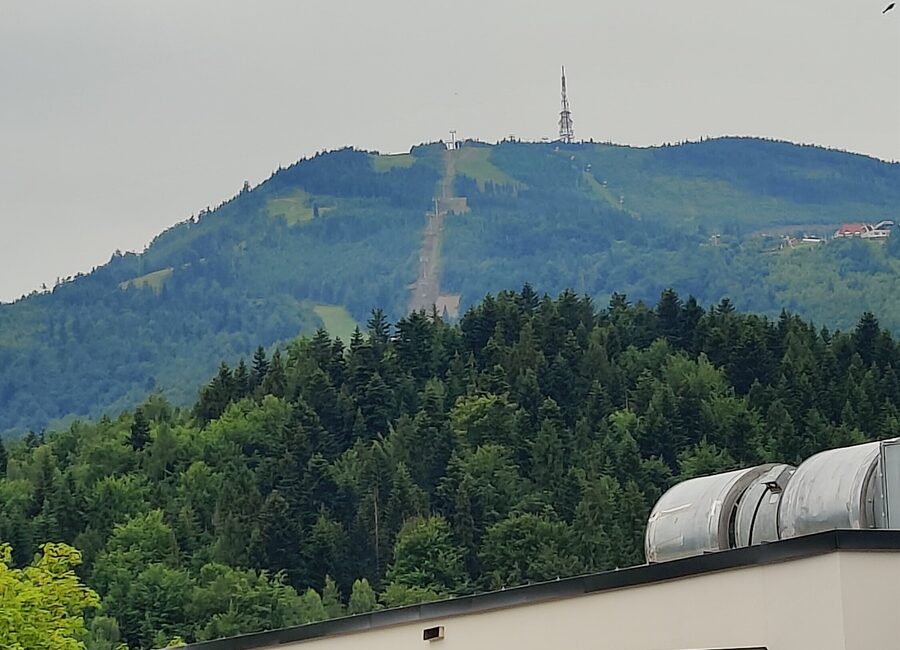 IMG20240611104253_Easy-Resize.com