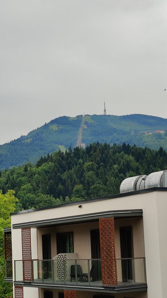 IMG20240611104253_Easy-Resize.com