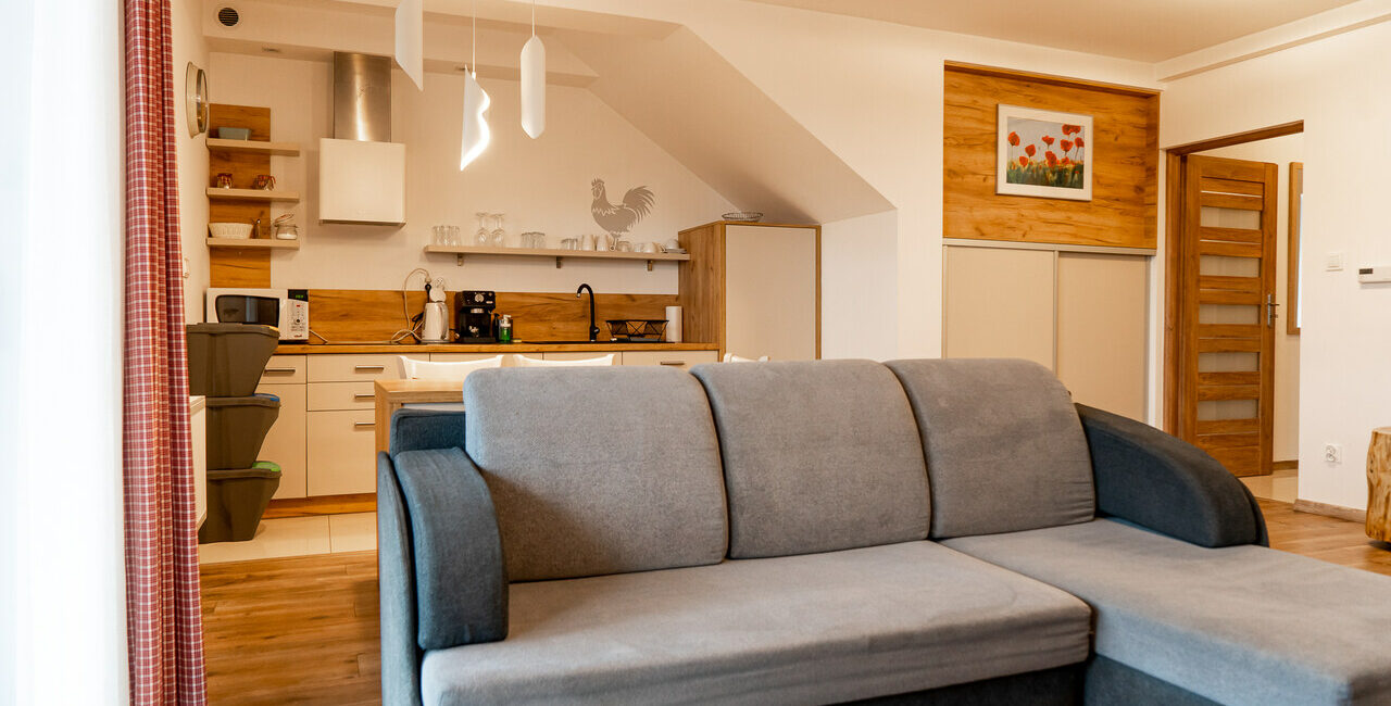 apartament-z-tarasem-1230-original-2