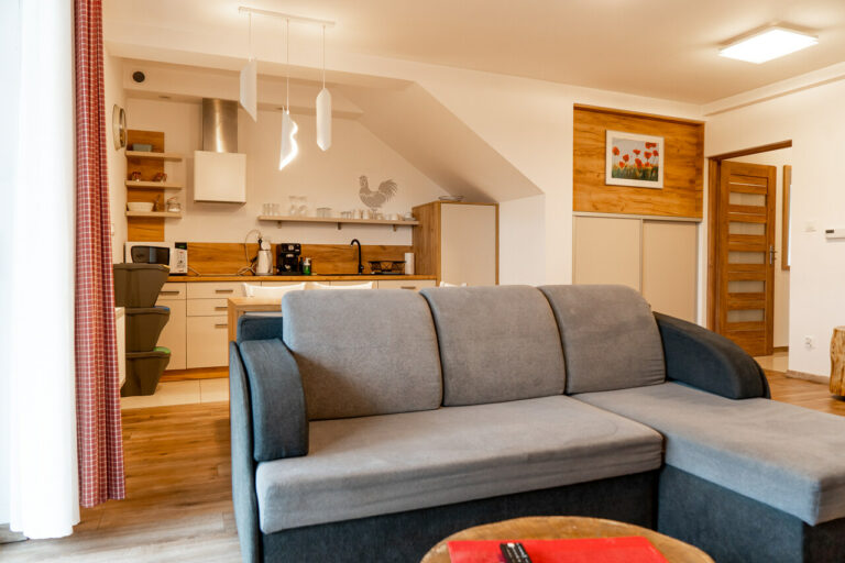 apartament-z-tarasem-1230-original-2